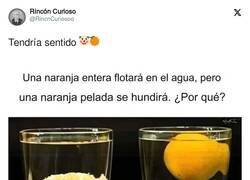 Enlace a Qué sabio es Javier, por @RincnCuriosoo