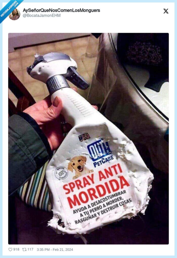 perro,spray,anti mordida