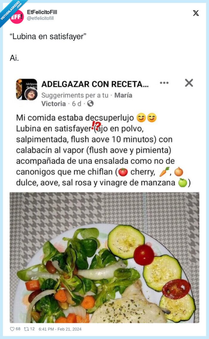 satisfayer,lubina,airfryer,fail