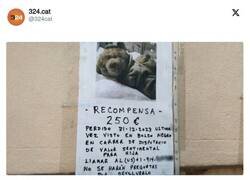 Enlace a Por 250 euros, ese peluche tiene algo dentro como mínimo, por @324cat