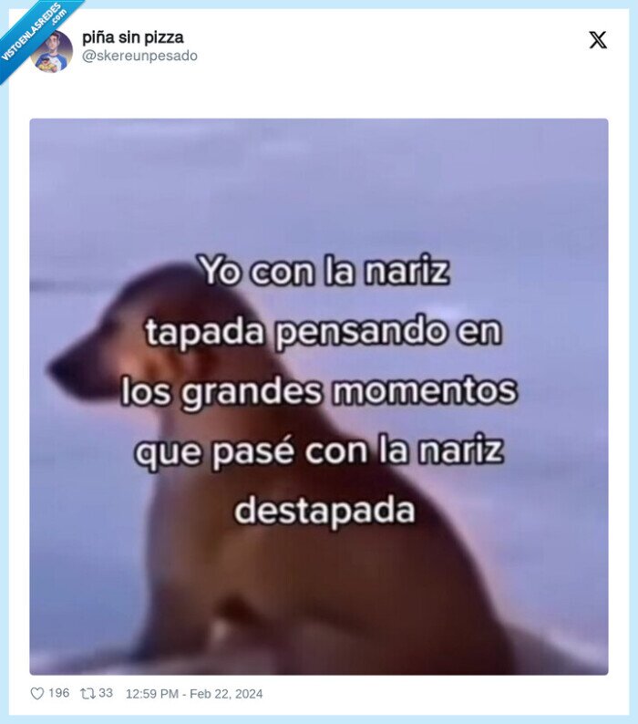 perro,nariz tapada,constipado,destapada
