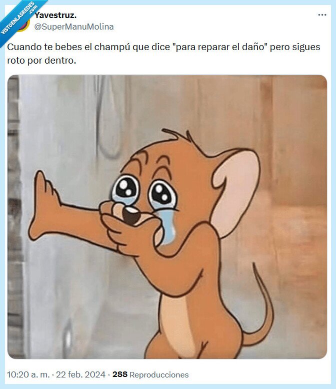 champú,reparar,daño