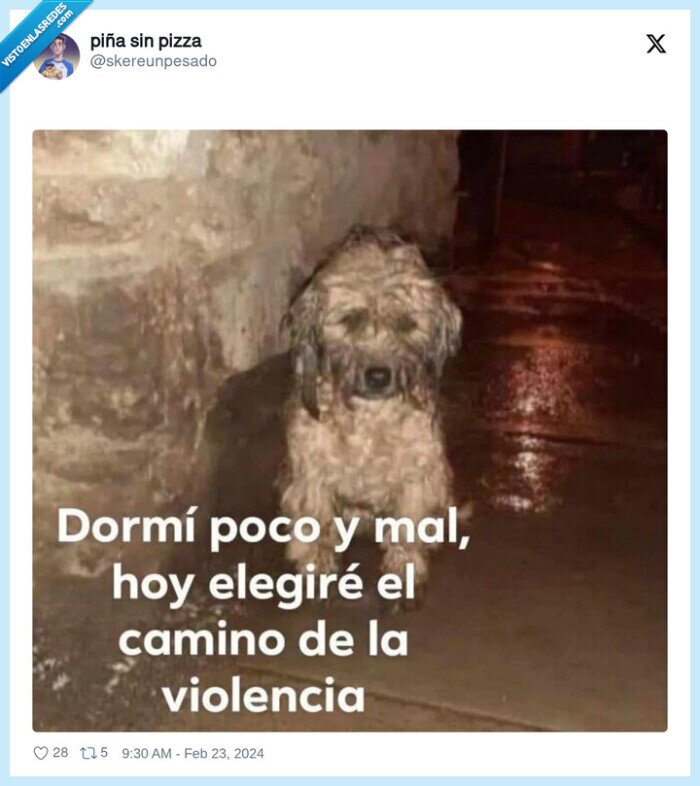 perro,mala leche,violencia,levantarse