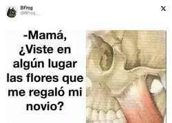 Enlace a Que se dediquen a lo suyo, por @BFrog__