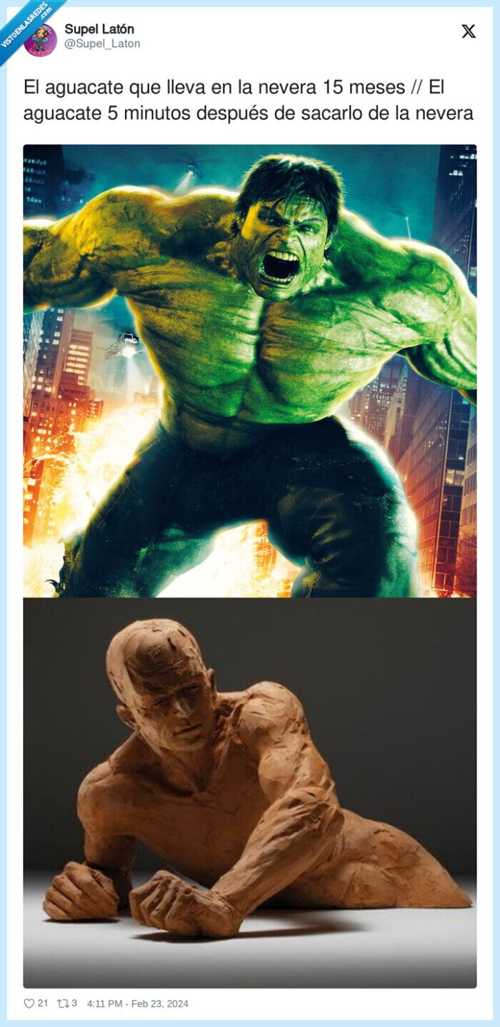 aguacate,sacar,nevera