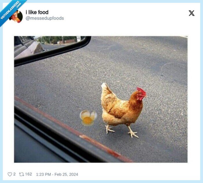 gallina,huevo,pedo,poner