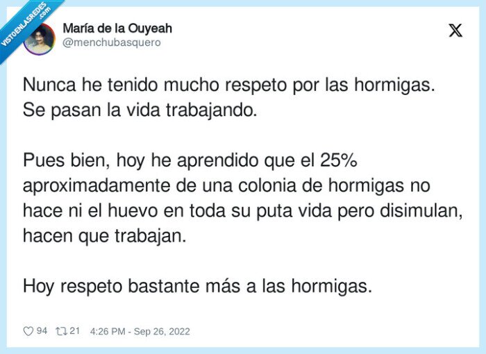 disimular,trabajar,aprender,hormigas