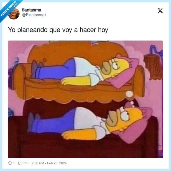 homer,planear,vago,sofa