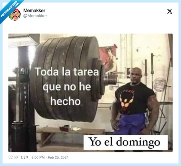 tareas,domingo,hacer