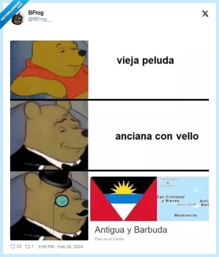 oso,winnie the pooh,pelo,barbuda,antigua