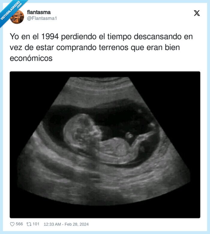 comprar,terreno,años,panza,madre,feto