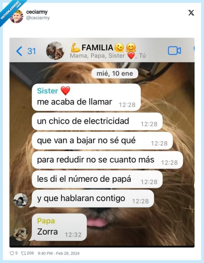 zorra,padre,insulto,electricidad