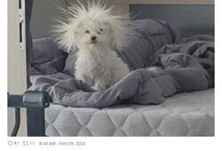 Enlace a Solo le funciona a las actrices, por @lamarujarubia