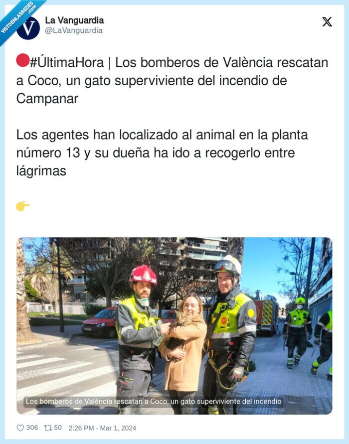 superviviente,localizado,valència,lágrimas,recogerlo,coco