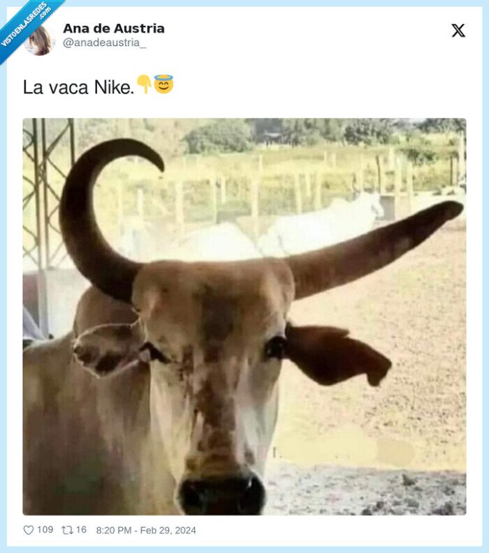 nike,vaca,cuerno