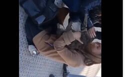 Enlace a Así ha sido el reencuentro con su dueña del gato rescatado del incendio de Valencia, llevaba 8 días atrapado