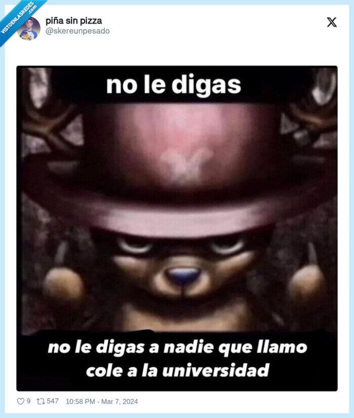 universidad,cole,confusión