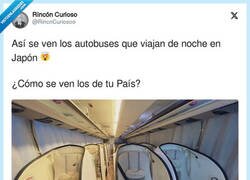Enlace a Si enseñara los de mi país haría demasiado el ridículo, por @RincnCuriosoo