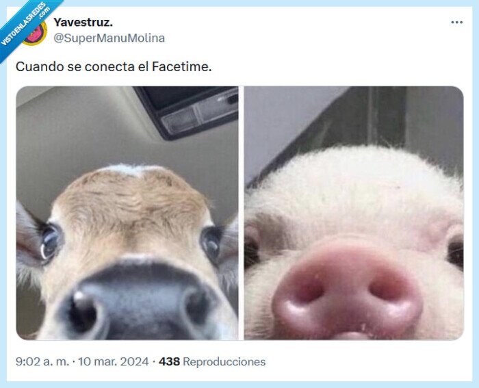 facetime,conectar
