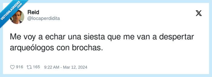 arqueólogos,despertar,brochas,siesta