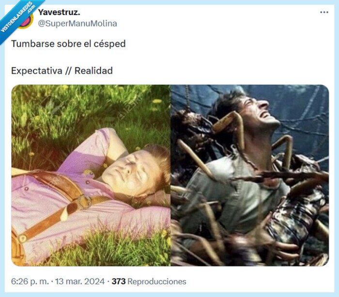 césped,expectativa,realidad