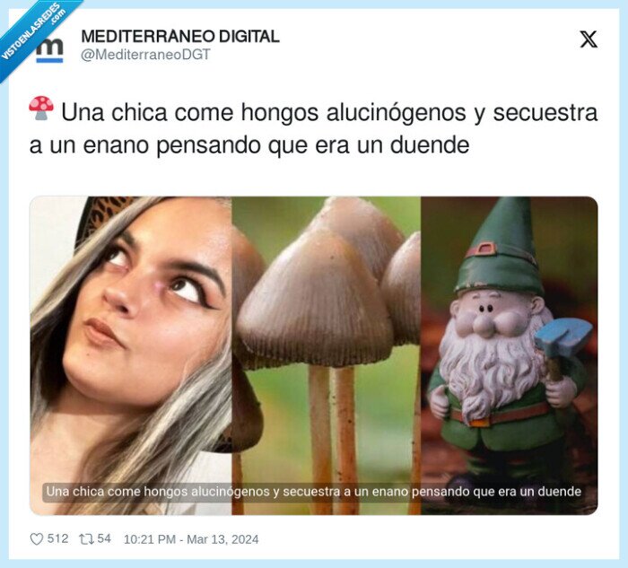 alucinógenos,secuestrar,hongos,duende,enano