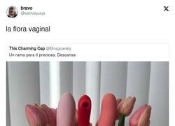Enlace a Flora vaginal, por @santaqueja