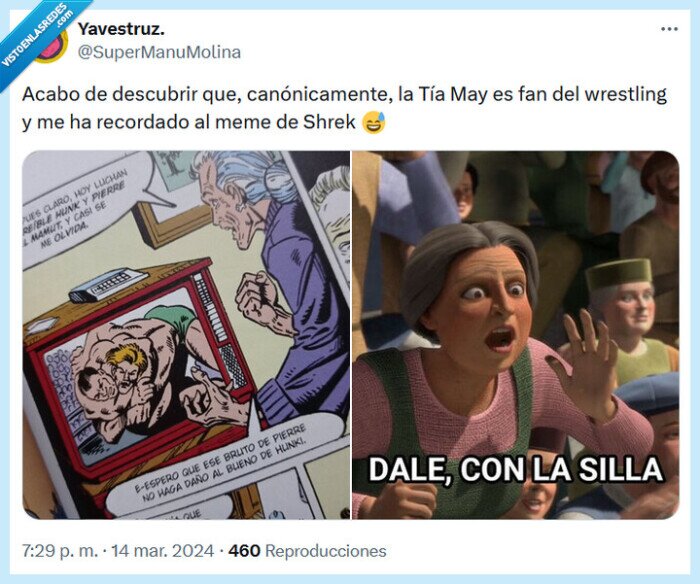 spiderman,tía,wrestling
