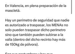 Enlace a Un facha hace el ridículo de su vida pensando que una falla con menas eran menas que saltaban de verdad