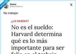 Enlace a No trabajar sí que te hace feliz, por @SiberetSiberet