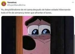 Enlace a Hasta la noche por @supermanumolina