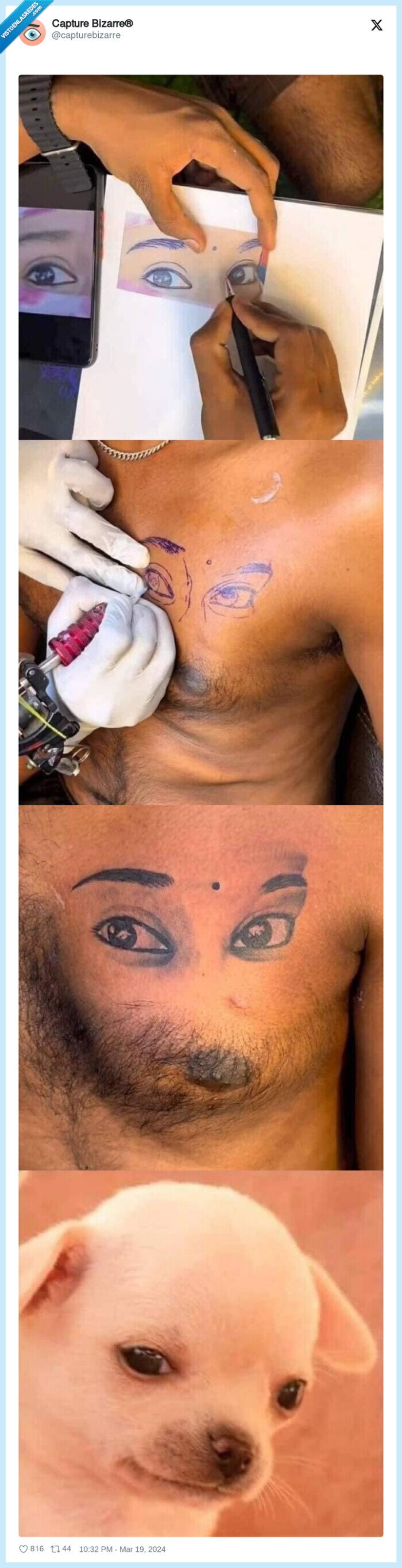 tatuaje,perro,pecho