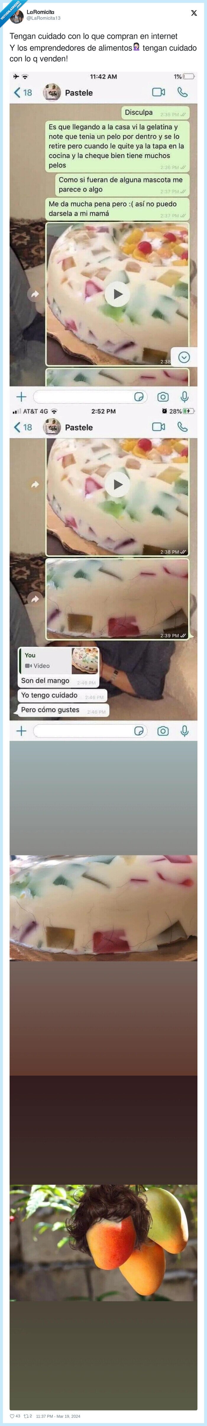 pelo,gelatina,asco,mango