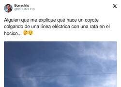 Enlace a El WTF del día, por @B0RRACHIT0