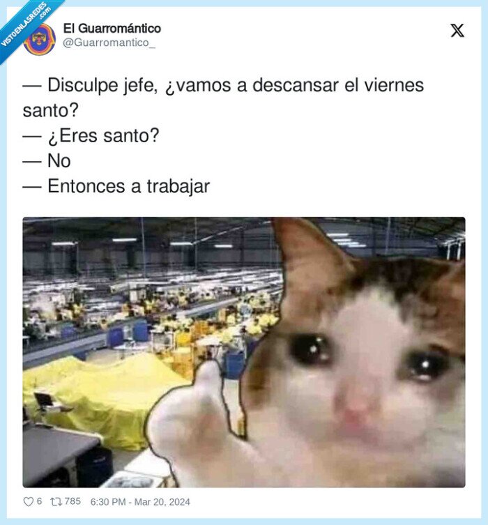 descansar,entonces,trabajar,viernes,jefe