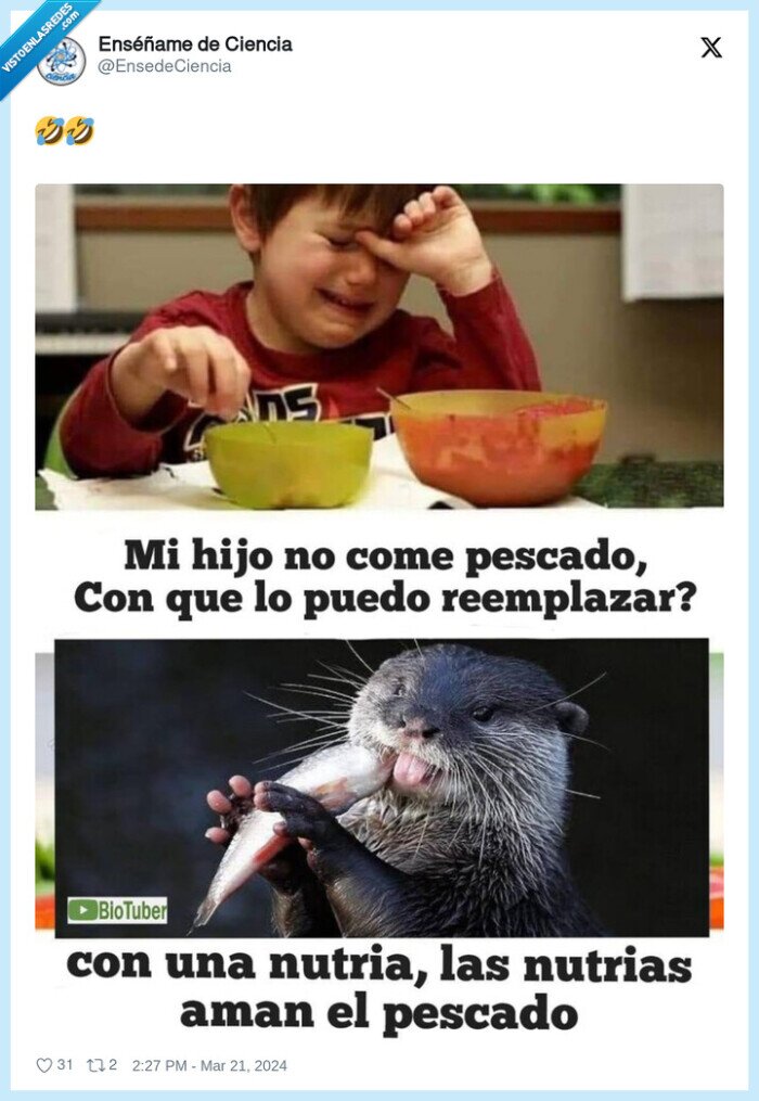 nutria,pescado,comer,reemplazar