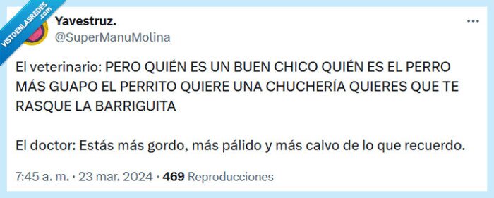 veterinario,animal,doctor,humanos