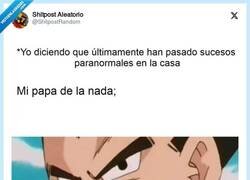 Enlace a El cuñao de turno, por @ShitpostRandom