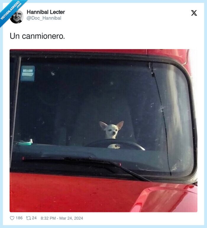 canmionero,perro,camion,can