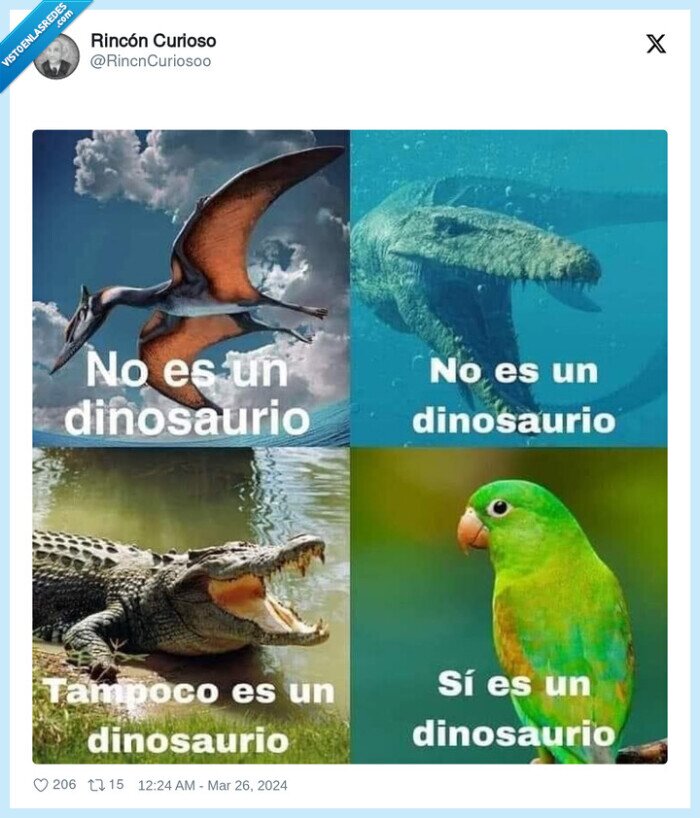 canario,pajaro,dinosaurio,ancestros