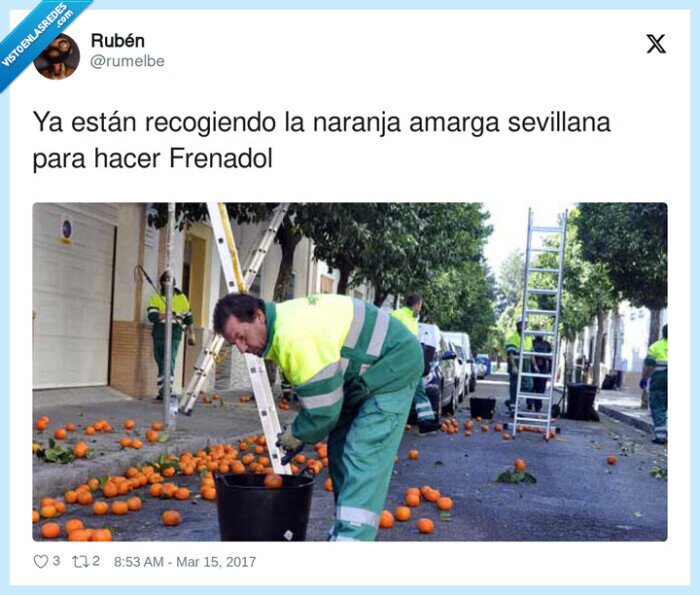 recogiendo,frenadol,naranja,amarga