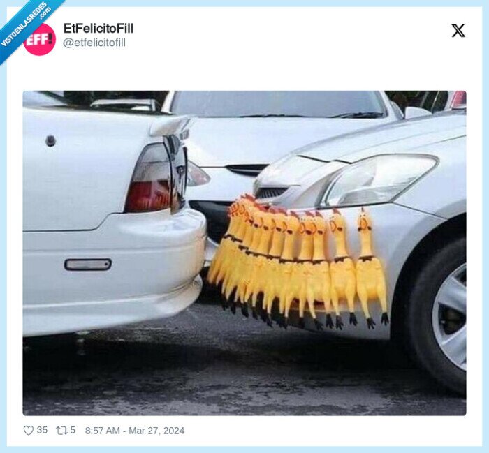 pollos,goma,coche,chocar