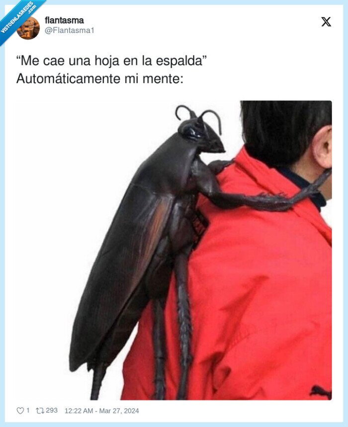 automáticamente,espalda,escarabajo