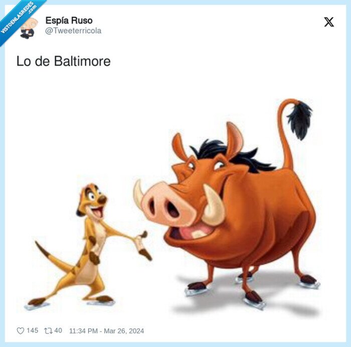 baltimore,timon,pumba,puente