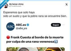 Enlace a Pobre rana, por @TirodeGraciah