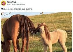 Enlace a Es recomendable tener una muestra por @supermanumolina