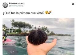Enlace a A primera vista ha sido muy desagradable, por @RincnCuriosoo