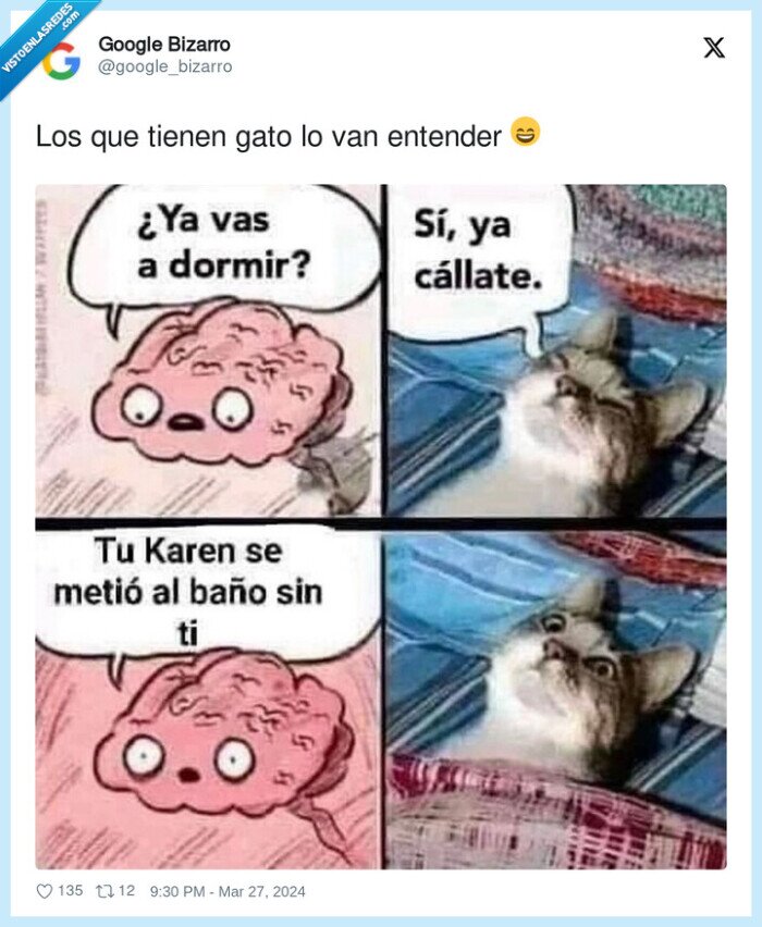 cerebro,gato,baño,karen,ir,acompañar
