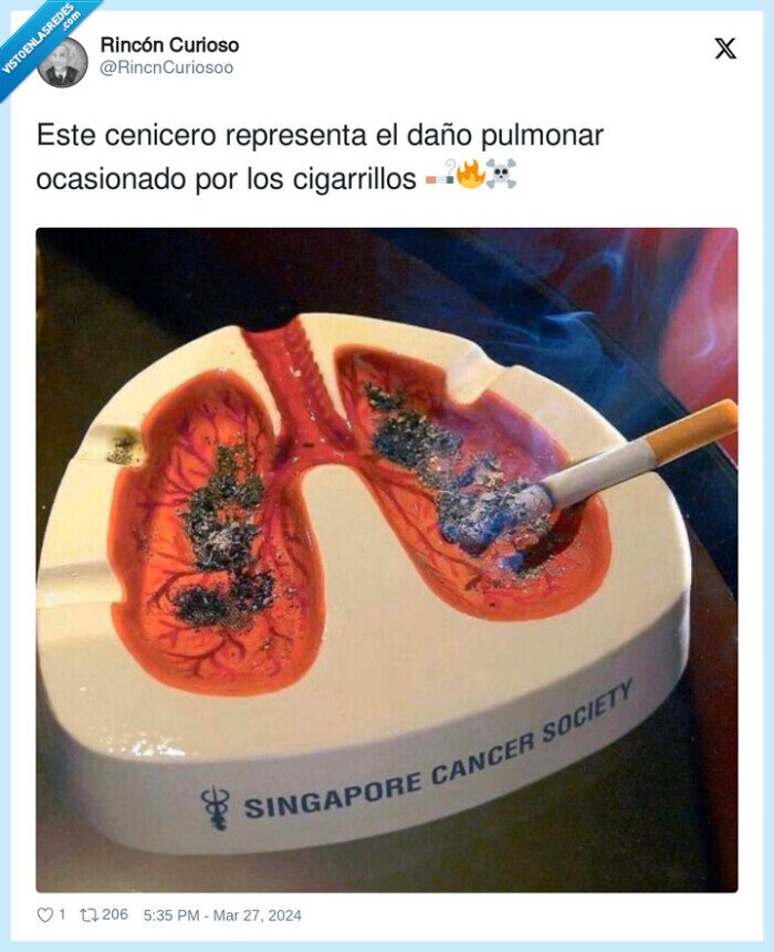 cigarrillos,representa,cenicero,pulmon