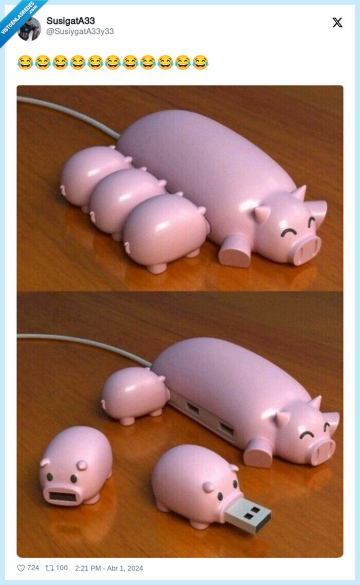 pig,cerdo,usb